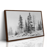 Winter Pines Stand Silent Watch