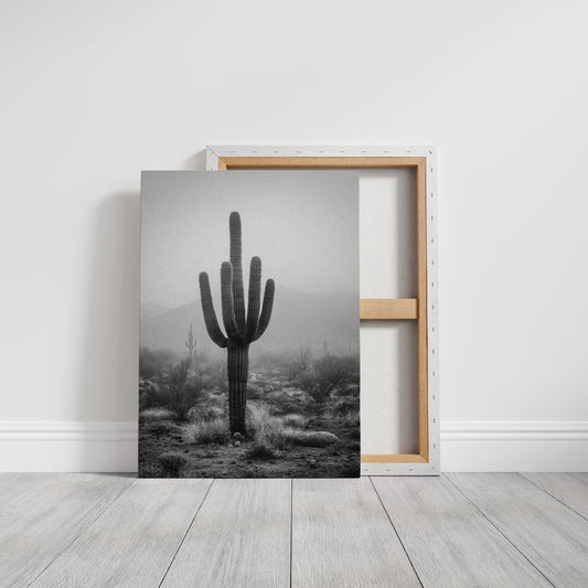 Cactus Standing Against The Mist
