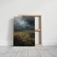 Meadow Secrets Before The Storm