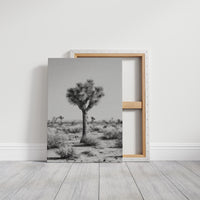 Guardians of the Arid Horizon