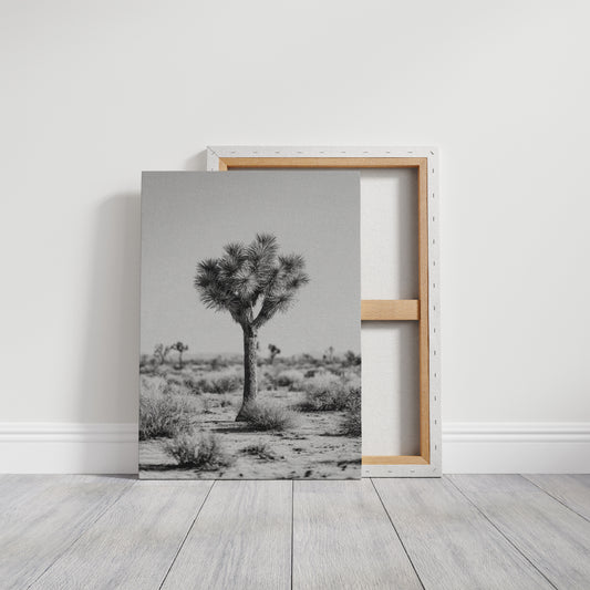 Guardians of the Arid Horizon