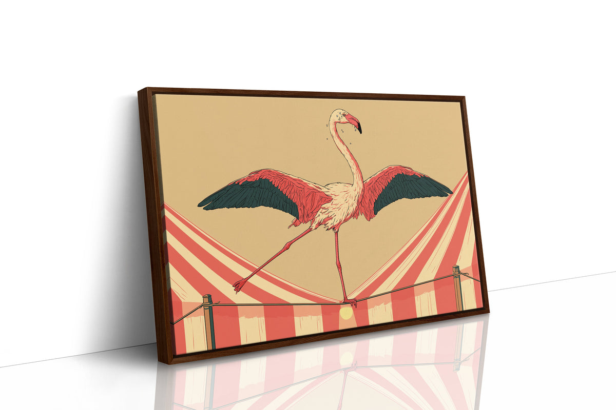 Flamingo Tightrope Circus Act