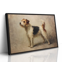 Noble Fox Terrier Stands Alert