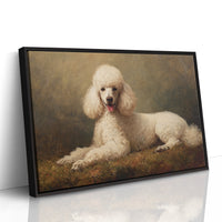 Noble Poodle Rests In Autumn Light