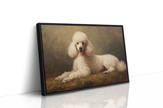 Noble Poodle Rests In Autumn Light