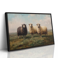 Three Sheep Stand Watch At Dawn