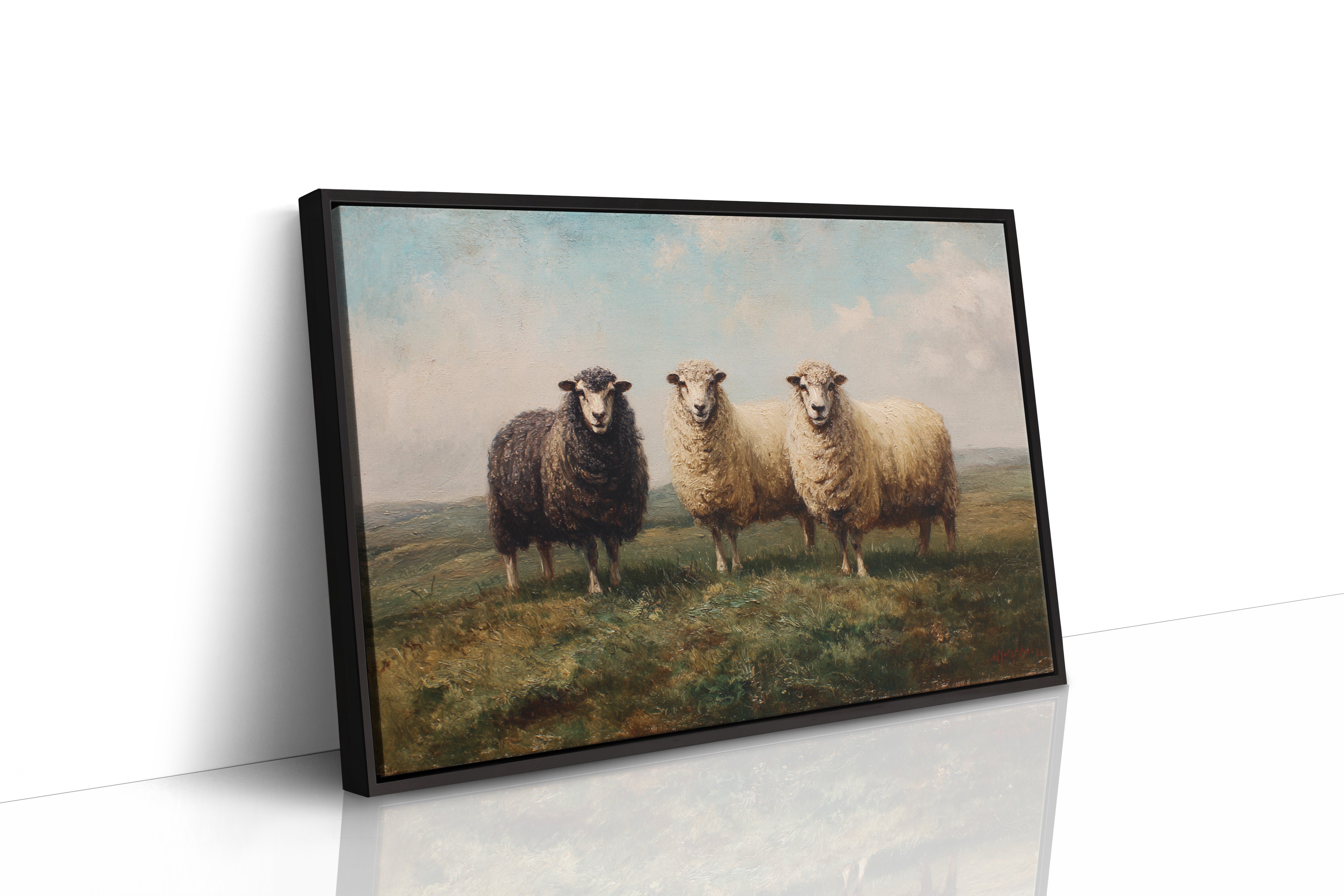 Three Sheep Stand Watch At Dawn