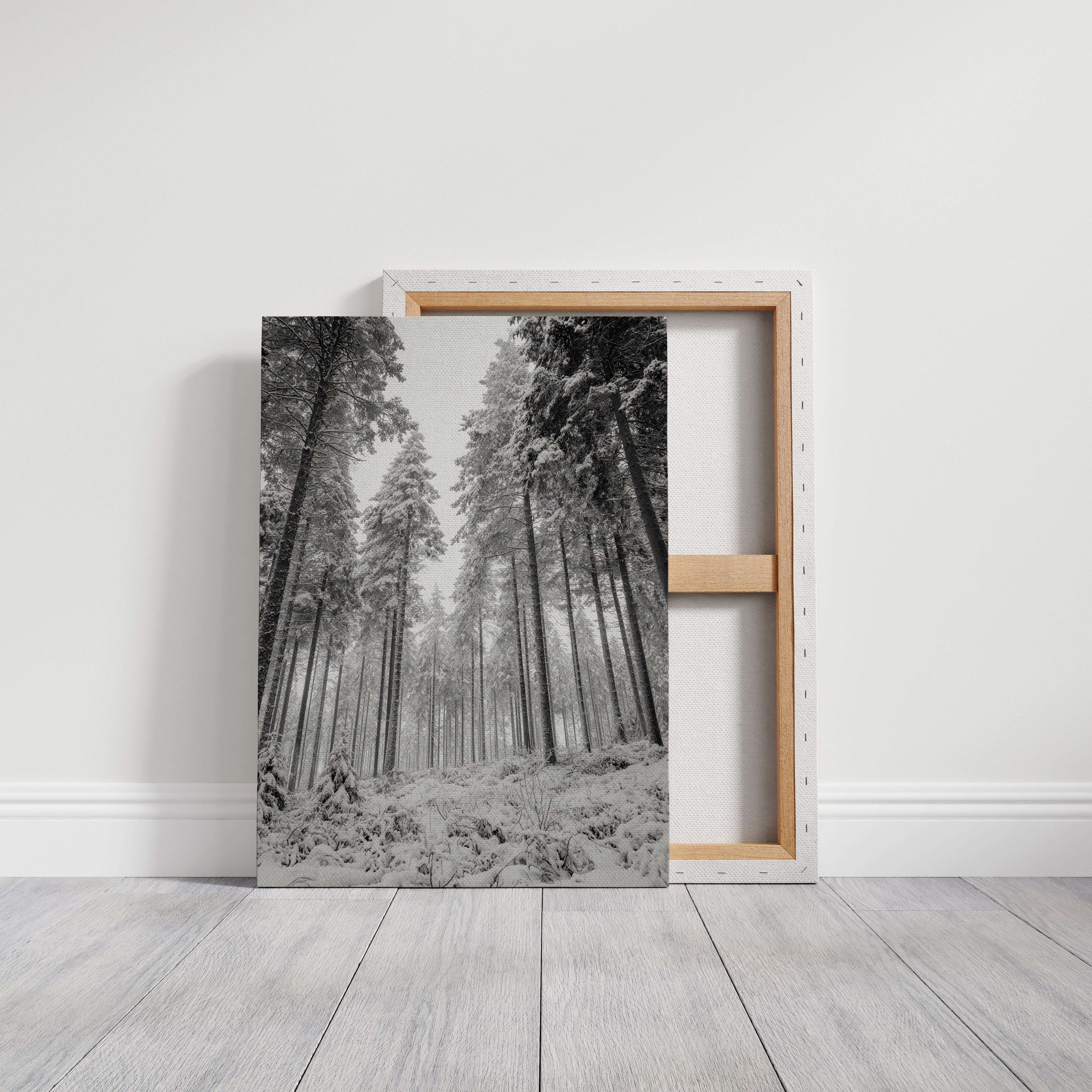 Beneath the Silent Canopy