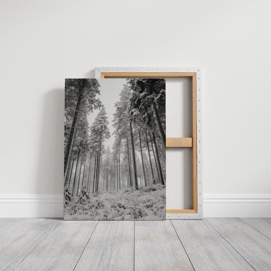 Beneath the Silent Canopy