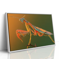 Dew-Kissed Mantis at Dawn