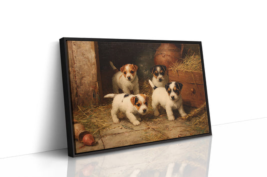 Terrier Pups Plot Barn Adventures