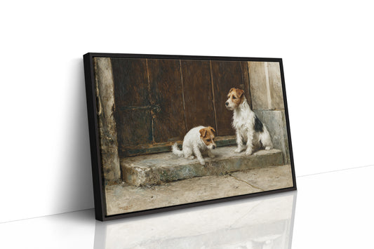 Terriers Guard Their Ancient Step