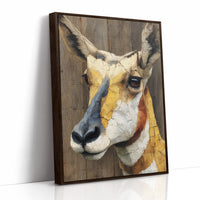 Where the Antelope Judge
