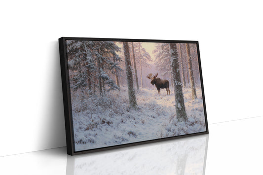 Winter's Light Finds Northern King