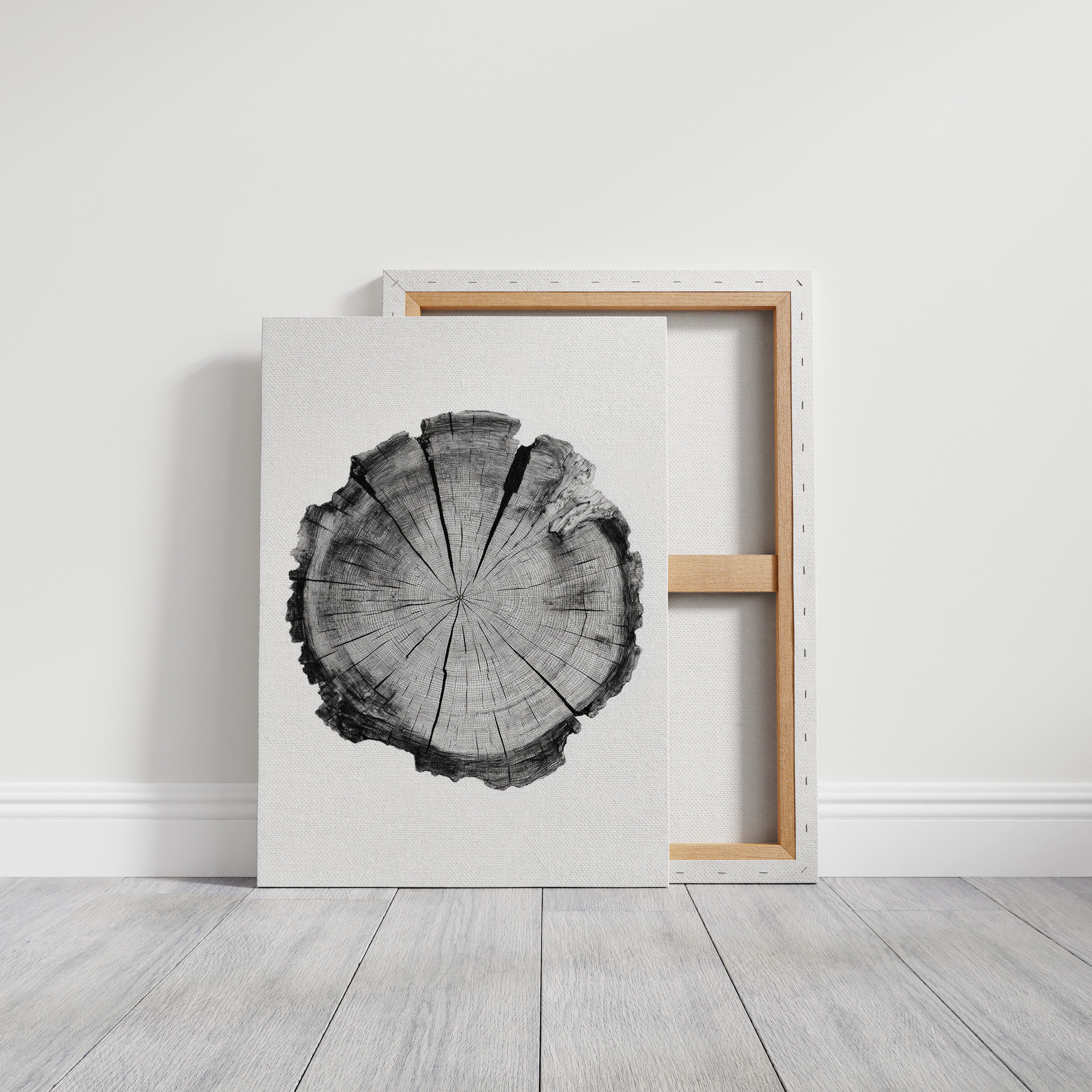 Textured Tree Ring Study