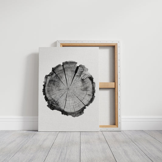 Textured Tree Ring Study