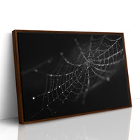 Dew Caught In Midnight Threads