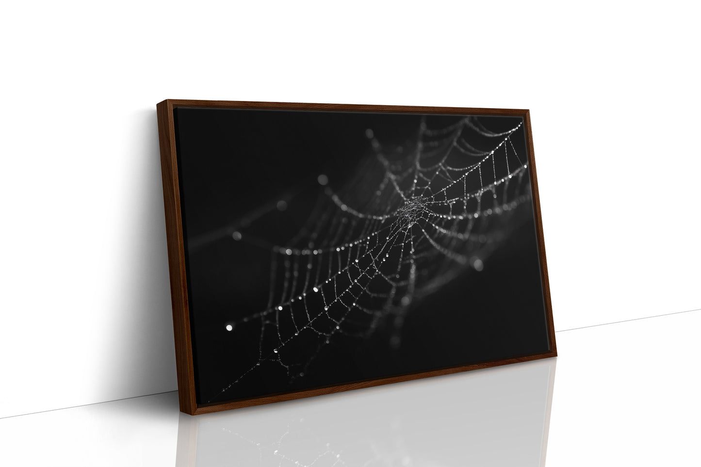 Dew Caught In Midnight Threads