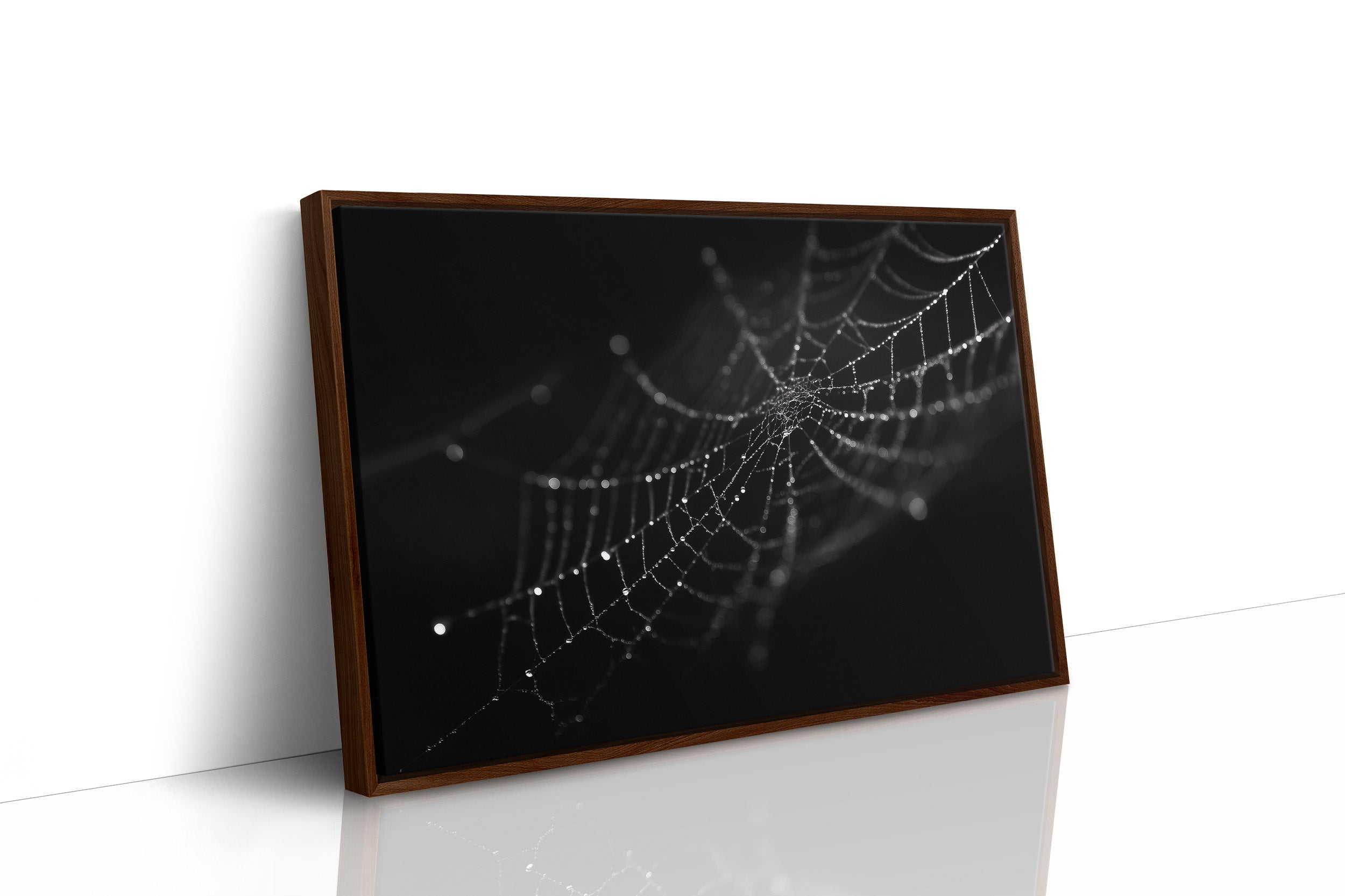 Dew Caught In Midnight Threads