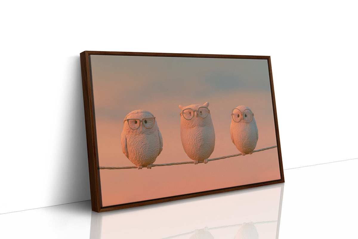 Bespectacled Owls on a Wire