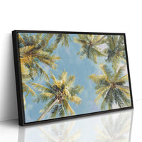 Summer Breeze Lifts Palm Stories