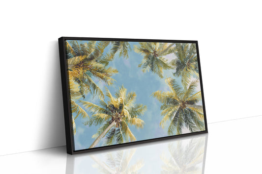 Summer Breeze Lifts Palm Stories