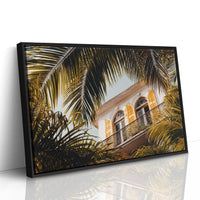 Golden Shutters Behind Palm Veils