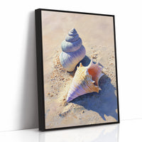 Coastal Treasures On Sunlit Sand