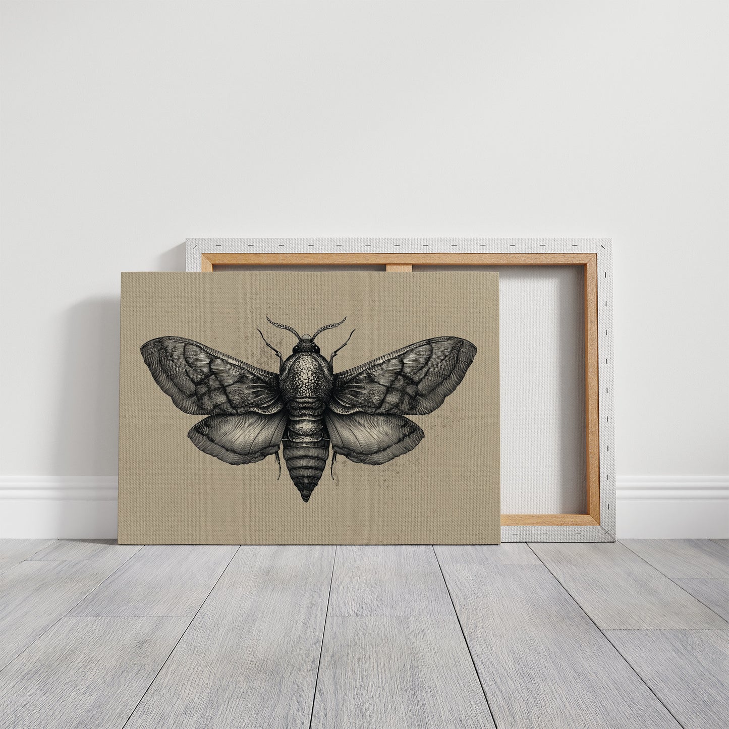 Vintage Moth Among Literary Spines