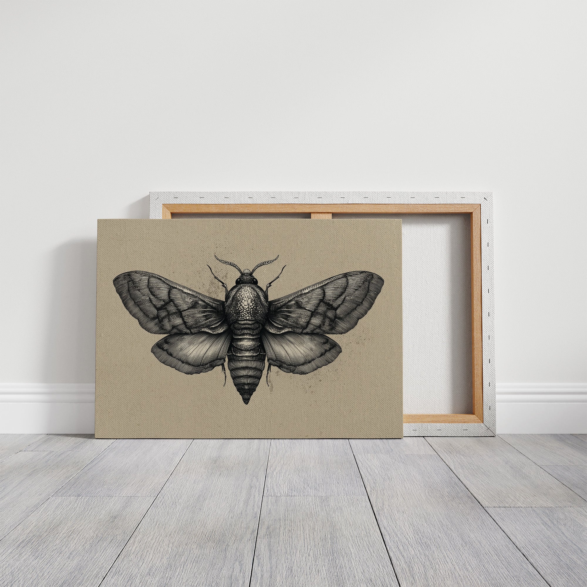 Vintage Moth Among Literary Spines