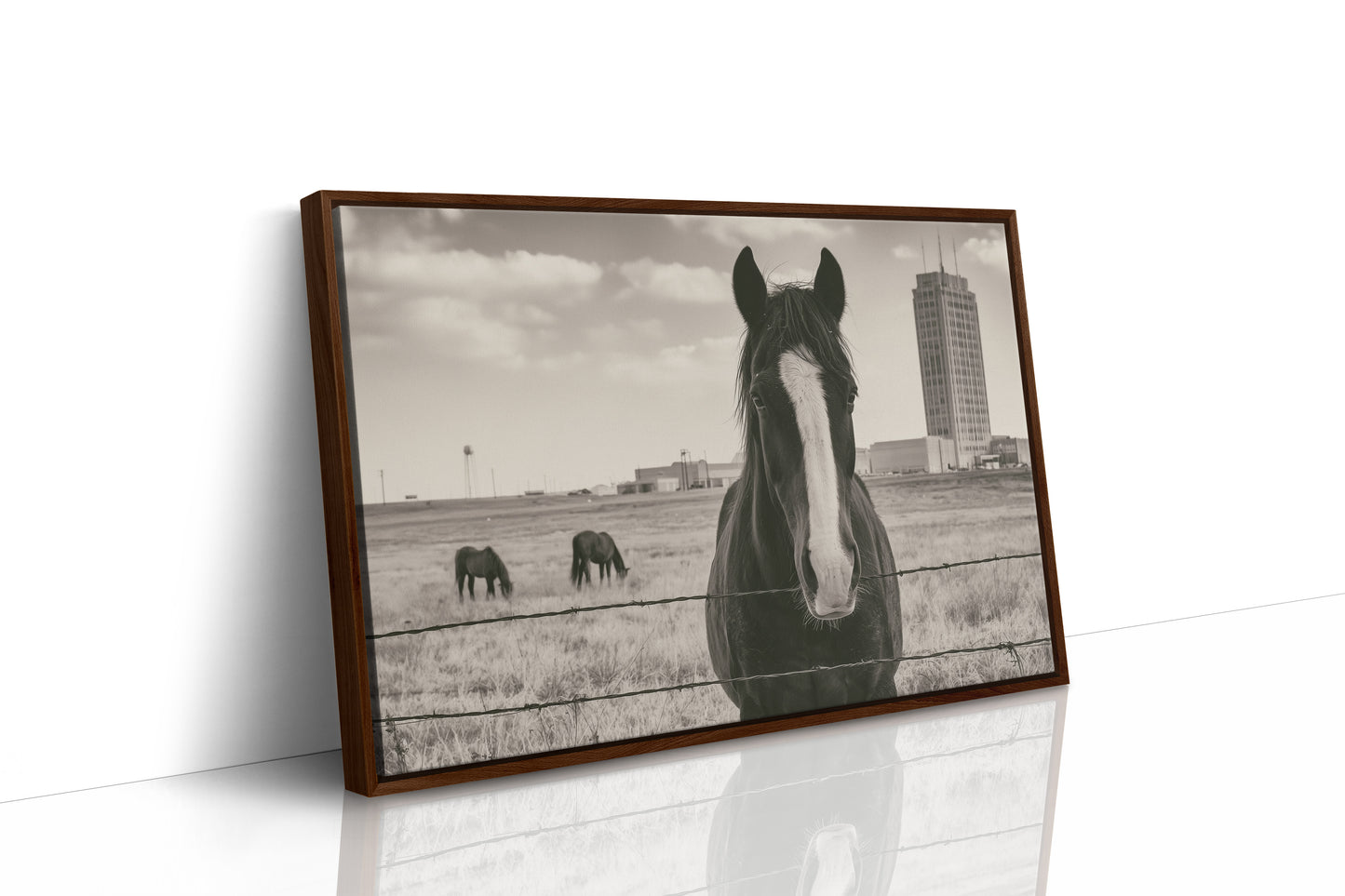 Grassland Watch