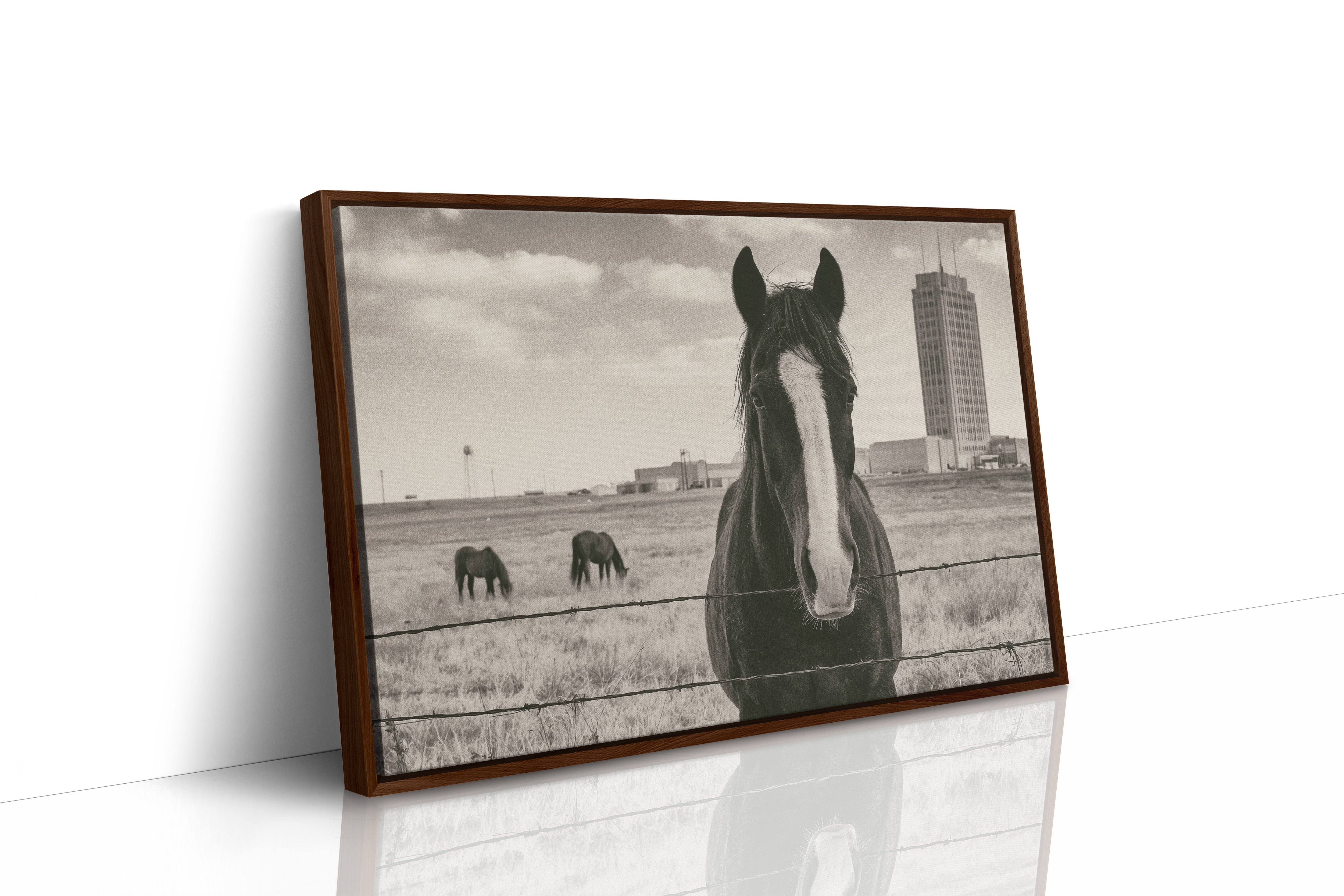 Grassland Watch