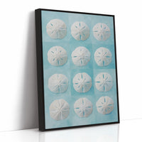 Sand Dollars Dance On Teal