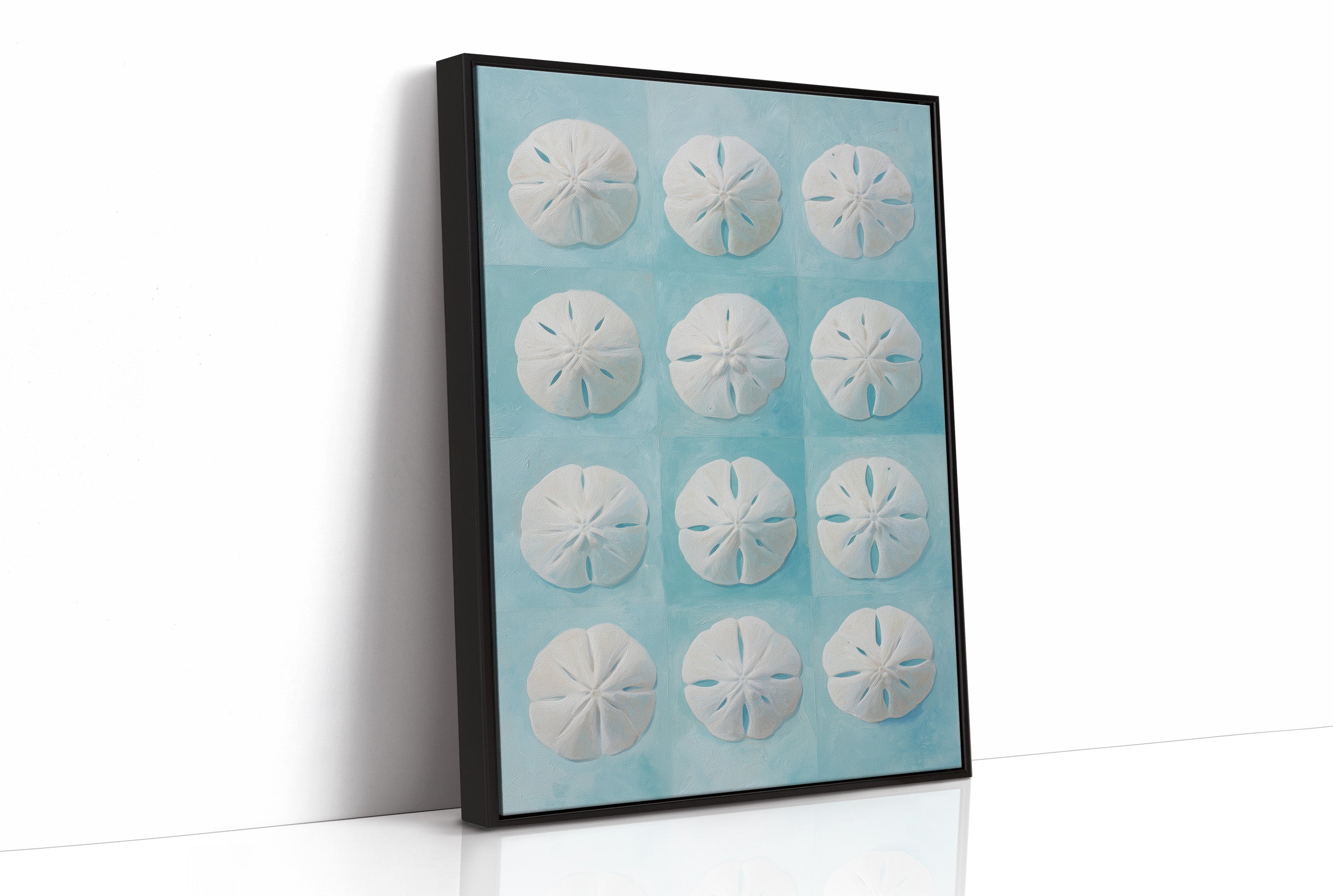 Sand Dollars Dance On Teal