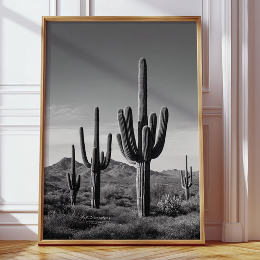 Framed black and white photograph of cacti in a room with wooden floor and white walls