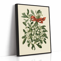 Mistletoe, Tied in Red