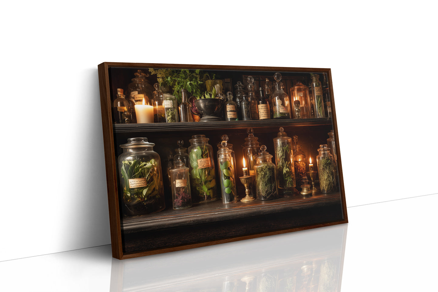 Botanist's Cabinet Of Curious Wonders