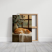 Naptime Beneath Sunlit Windows