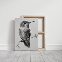 The Stillness of Feathered Grace