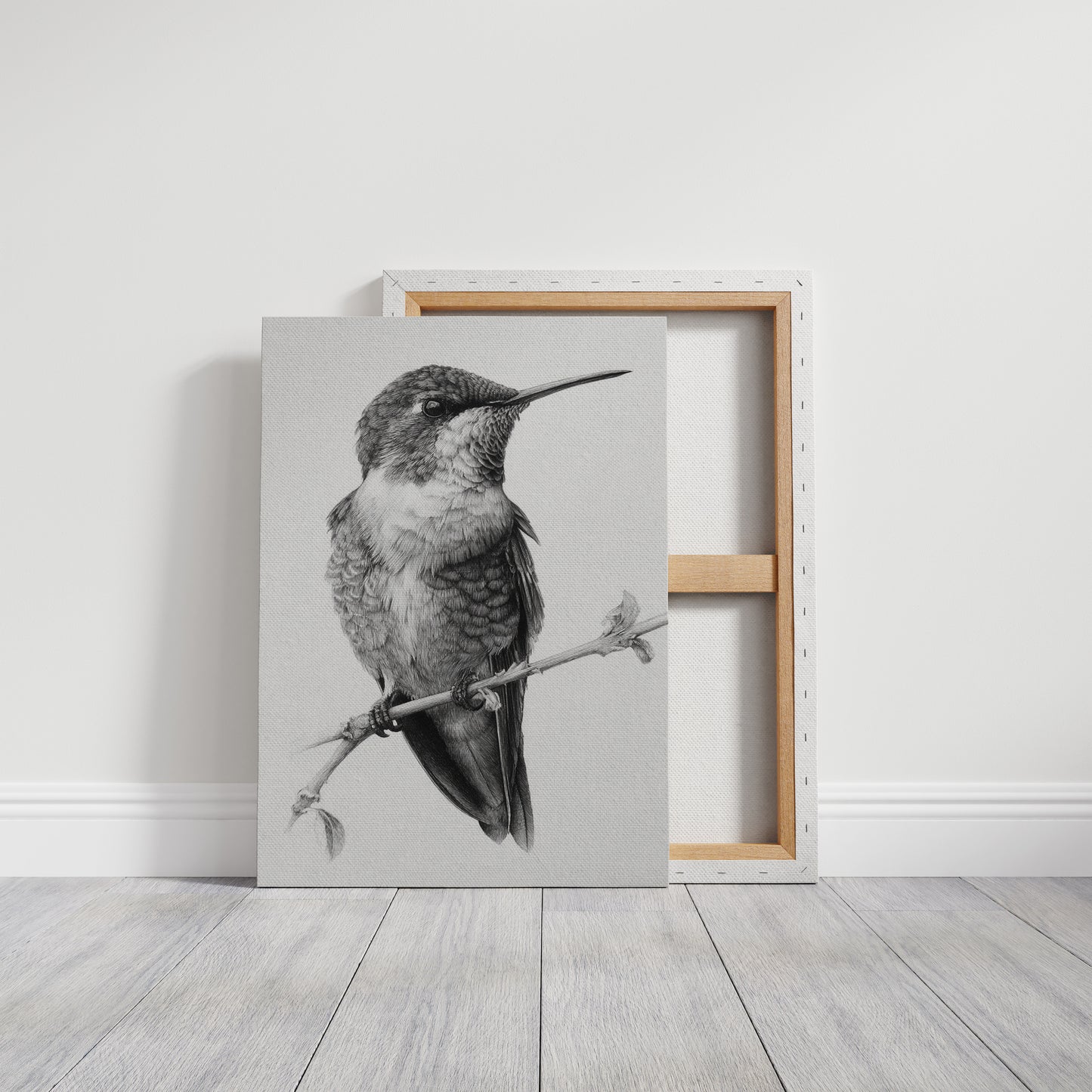 The Stillness of Feathered Grace