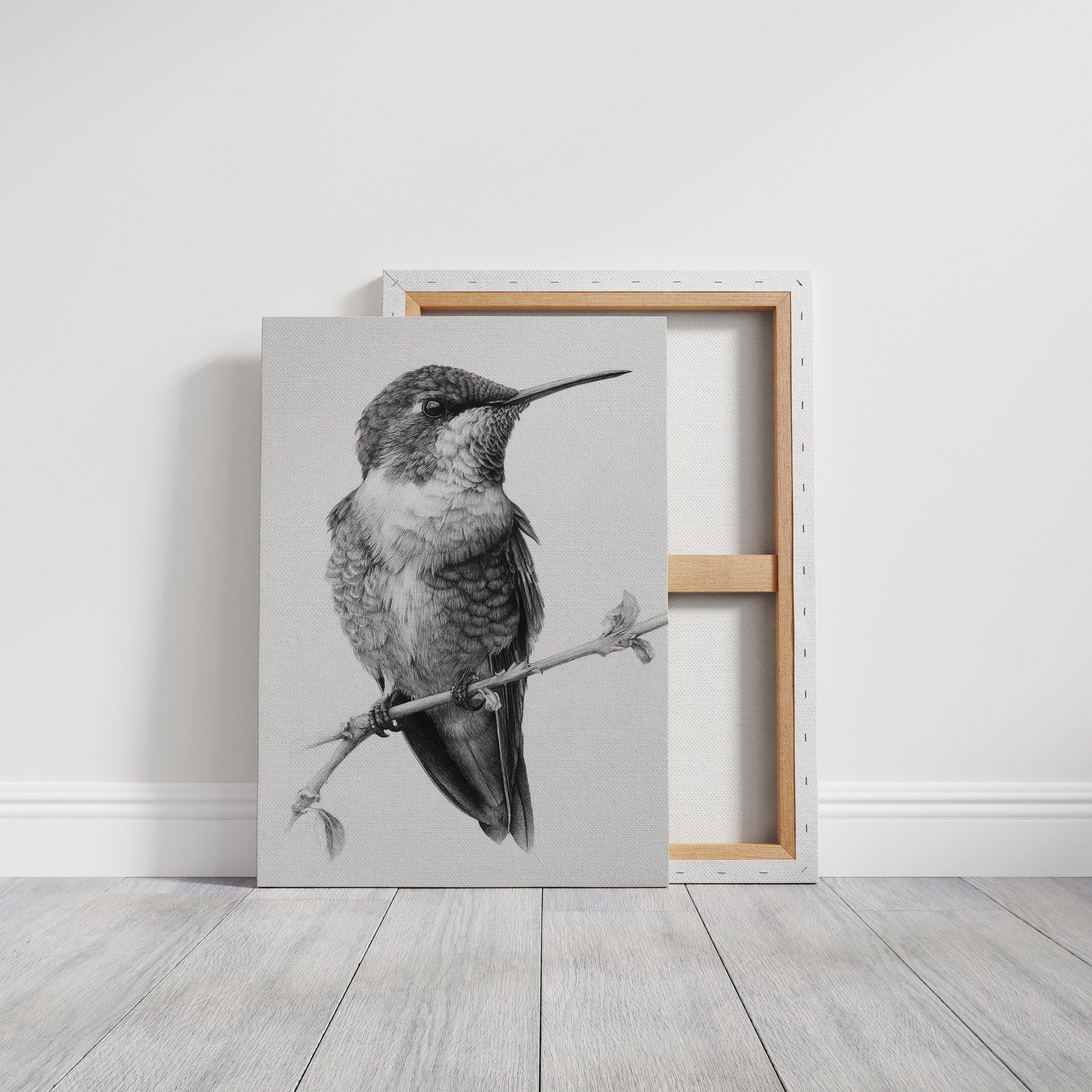 The Stillness of Feathered Grace