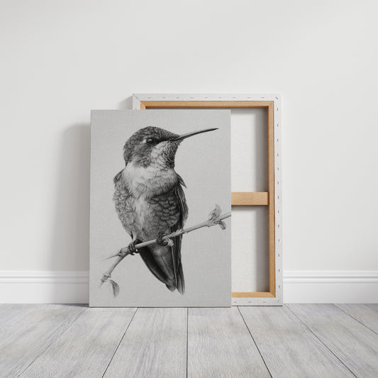 The Stillness of Feathered Grace