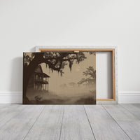 Southern Mist Haunts Old Homestead