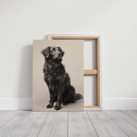 A Loyal Heart's Quiet Vigil