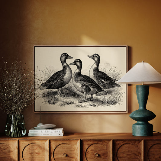 Gathering of Gentle Companions