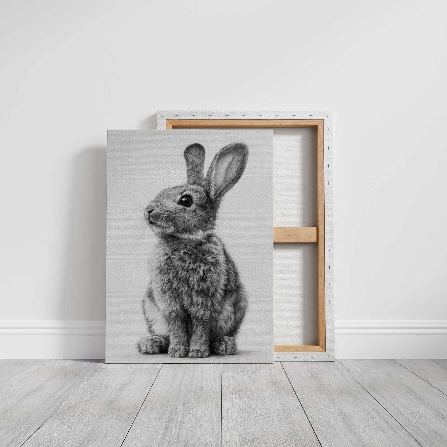 Curiosity Wrapped in Softness