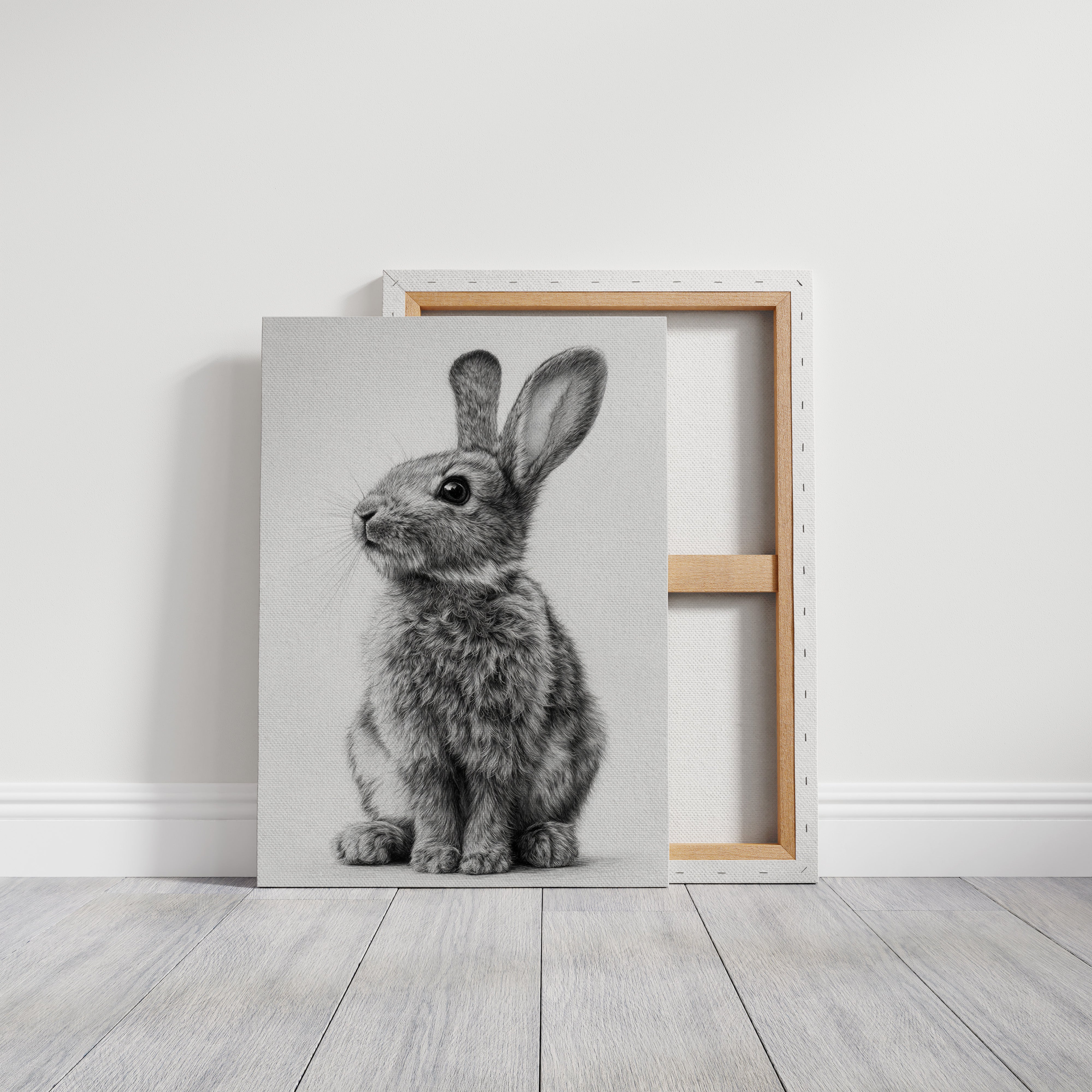 Curiosity Wrapped in Softness