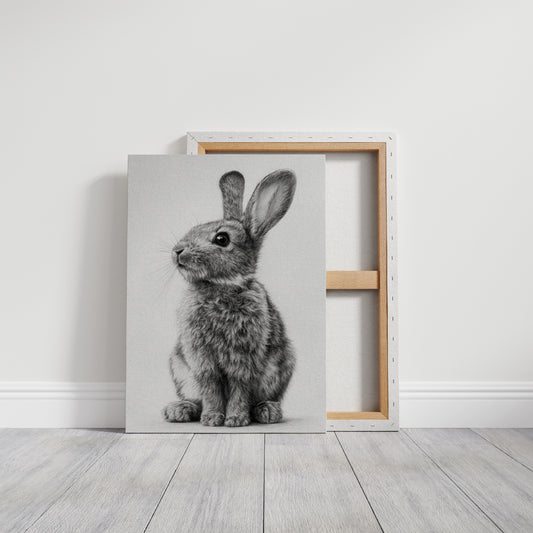 Curiosity Wrapped in Softness