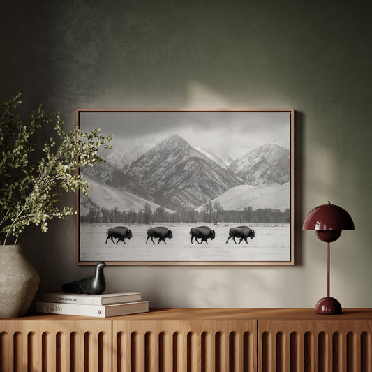 Where the Buffalo Roam