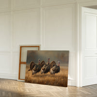 Wild Turkeys March Through Golden Fields